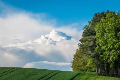 树木 天空 云 景观 户外 自然 土地 原野