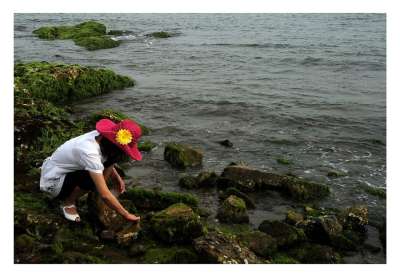 赶海 海边 美女 赶海 赶海 赶海 赶海 赶海