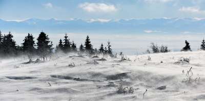 性质 冬季 雪 弗罗斯特 风 Zadymka 景观 山 贝斯基德