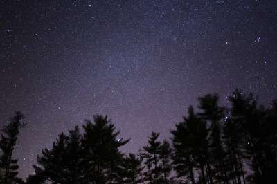 黑暗的 自然 夜晚 轮廓 天空 星星 树木
