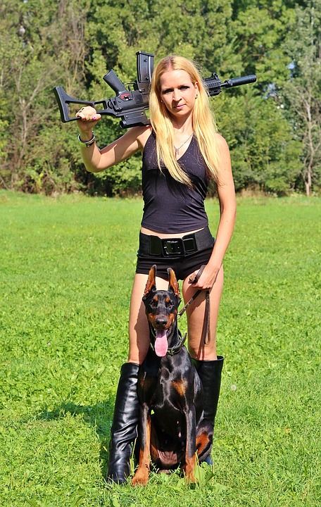 武器 杜宾 狗 女子 手枪 打猎 狙击手 目标 草 性感的
