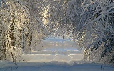 冬天 冬季景观 雪 雪景 下雪的 寒冷的 雪道 雪草甸 小路