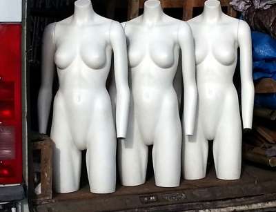 人体模特 傻瓜书 女性 时尚 展示 零售 模型裸体卡车光