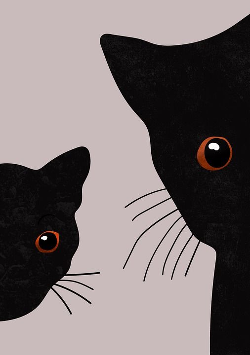 猫 宠物 背景 眼睛 俏皮的 画画 设计 颜色 淘气 动物
