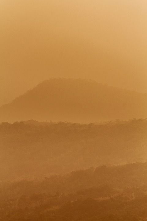 山 景观 自然 背景 美丽的 森林 公园 户外的 树 日出