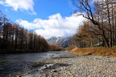 山 河 日本 树木