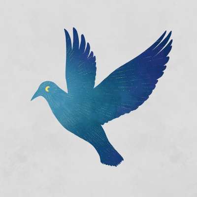 鸟 月亮 航班 光 想象力 幻想 创造力 绘画 艺术 轮廓