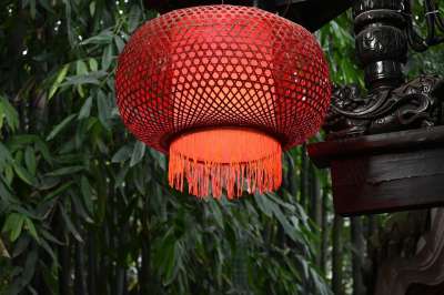 春节 灯笼 节日 森林 春节 春节 春节 春节 春节