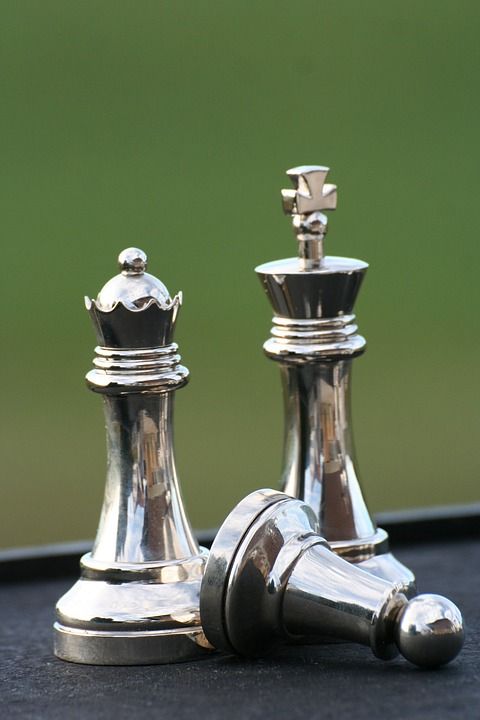 象棋 棋子 战略 棋盘游戏 王 棋盘 游戏板 玩 公平的竞争环境