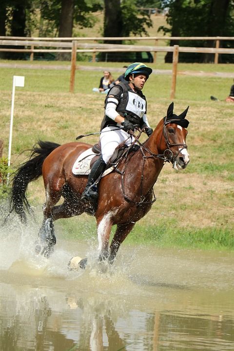 Haras Du销 国家柱 螺柱 伟大的全 跳跃 叉 马 竞赛