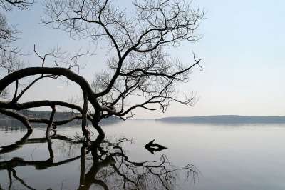 湖 景观 水 树 天然水 反射 池塘 河岸 Waldsee