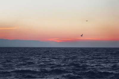海 蓝 海景 土耳其 日落 黄昏 辉光 性质 地平线 晚间