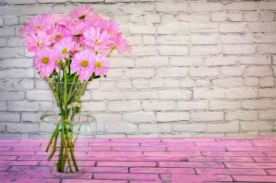春天 花朵 雏菊 粉色的 花的 花束 自然 春天的花朵 开花