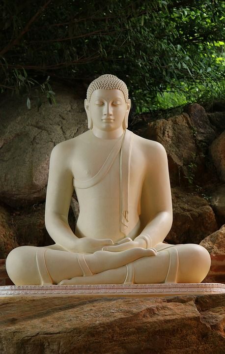 冥想 瑜伽 禅 佛 松弛 雕塑 雕像 佛教 佛教徒 斯里兰卡
