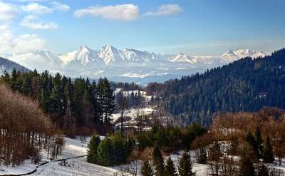 景观 山 冬奥会 波兰 贝斯基德 性质 雪 云 视图 森林