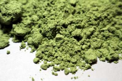 小麦胚芽草 粉 健康 自然 胚芽 介质 绿色