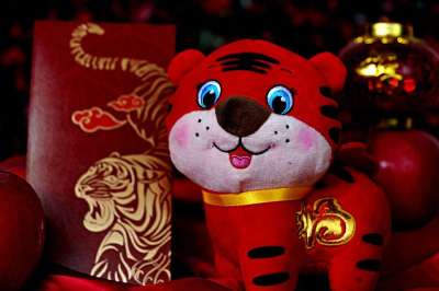 老虎图标 中国新的一年 中国农历新年快乐 特殊礼品信封
