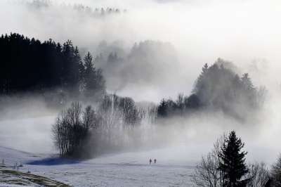 多雾路段 自然 冬天 远足 冬季景观 寒冷的 雪 冬天的寒冷