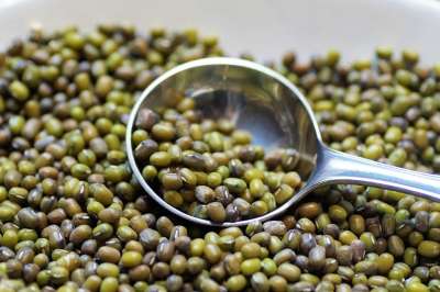 蒙哥 豆 格金 豆类 素食主义者 生物 健康 干燥 现代的