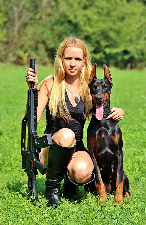 武器 杜宾 狗 女子 手枪 打猎 狙击手 目标 草 性感的