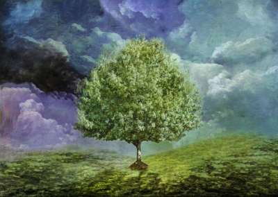 树 风暴 山坡 草 绘画 植树节 多云的 雨 场景 幻想