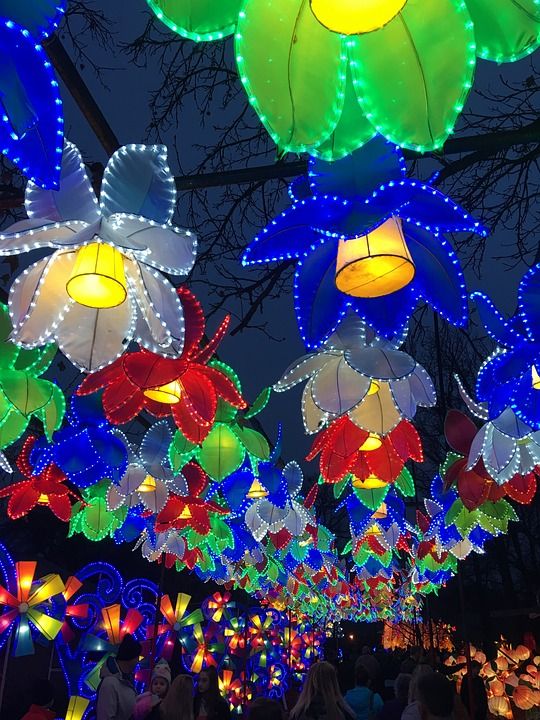 灯 中国人 节日 装饰 有创造力的 夜晚 快乐的