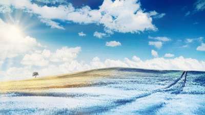 冬天 小山 乌克兰 自然 草地 景观 太阳 太阳光线 树 原野