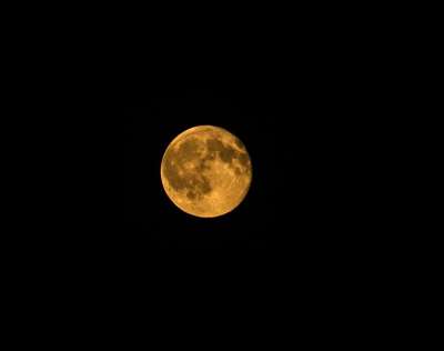 橙色月亮 满月 满月的橙色 夜间摄影 天文学 夜晚 天空 空间