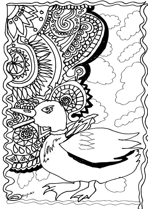 鸭 着色页 设计 漂亮 画画 手绘 可爱的 动物