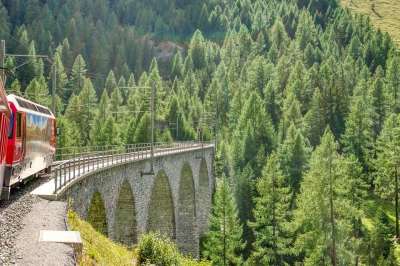 火车 高架桥 瑞士 阿尔卑斯山 山 森林 乡村的 基础设施 铁路