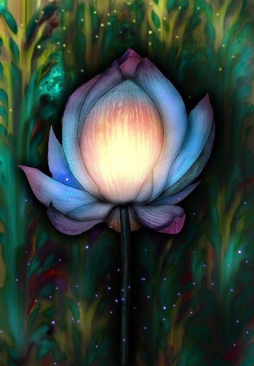 花卉 画画 百合 莲花 芽 插图 设计 艺术 幻想 魔法