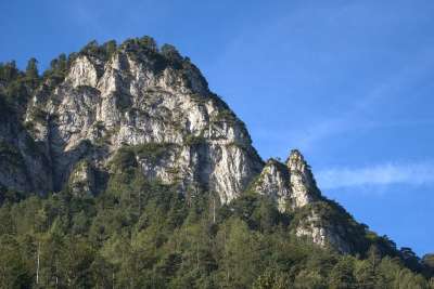 岩石 树木 早晨 景观 山 巴伐利亚 德国 自然