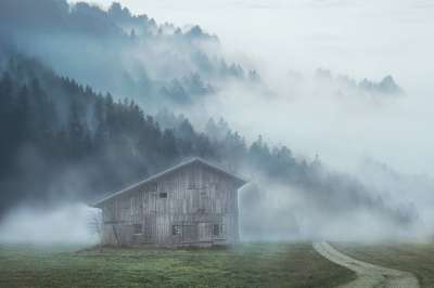 景观 山 小木屋 雾 针叶树 自然 冬天