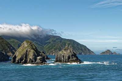 新西兰 库克街 Arapawa岛 景观 南岛 岩石 水