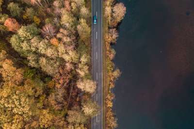 方式 森林 树木 景观 秋天 汽车 无人机 鸟类 旅行 湖