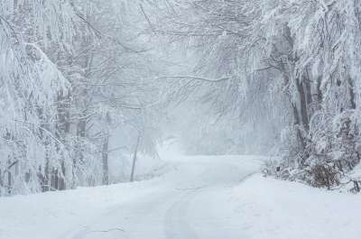 冬天 雪 寒冷的 自然 景观 白色的 霜 树木 冻结 日出
