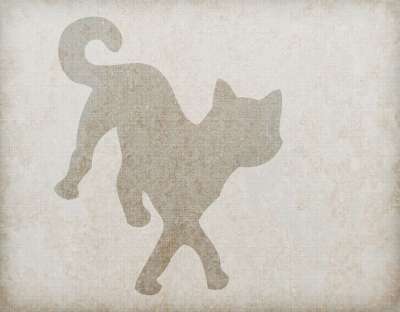 猫 猫科动物 基蒂 卡通片 轮廓 大纲 形状 优质的 老的