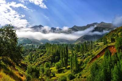 多雾路段 自然 看法 Kaçkars 景观自然 草 山 绿色