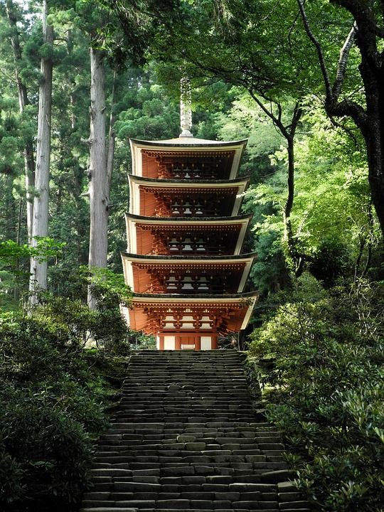 五层宝塔 Murooji 三层宝塔 冈寺 木头 日本 结构 建造