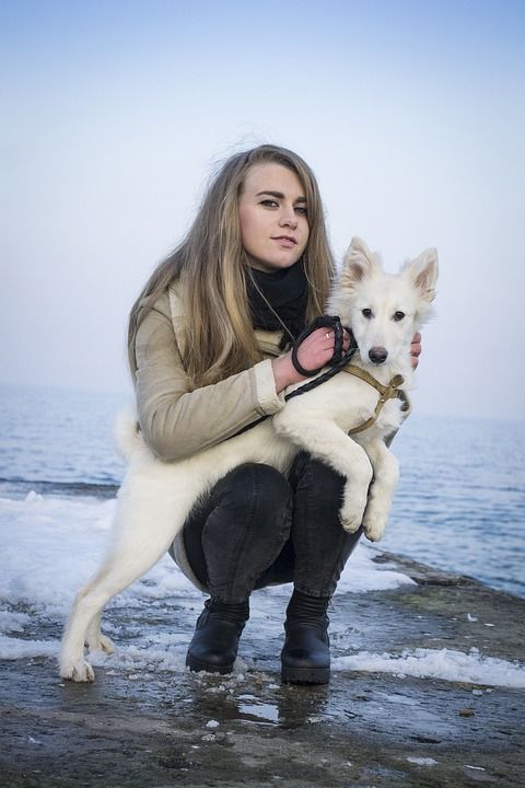 狗 莱卡 动物 宠物 北极 雪 冬季 年轻女子 人 小狗