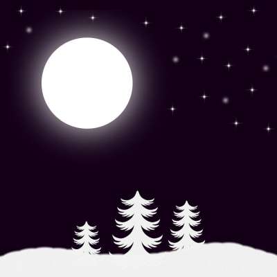 夜晚 月亮 星星 树木 雪 圣诞节 质地 形象的 设计 背景