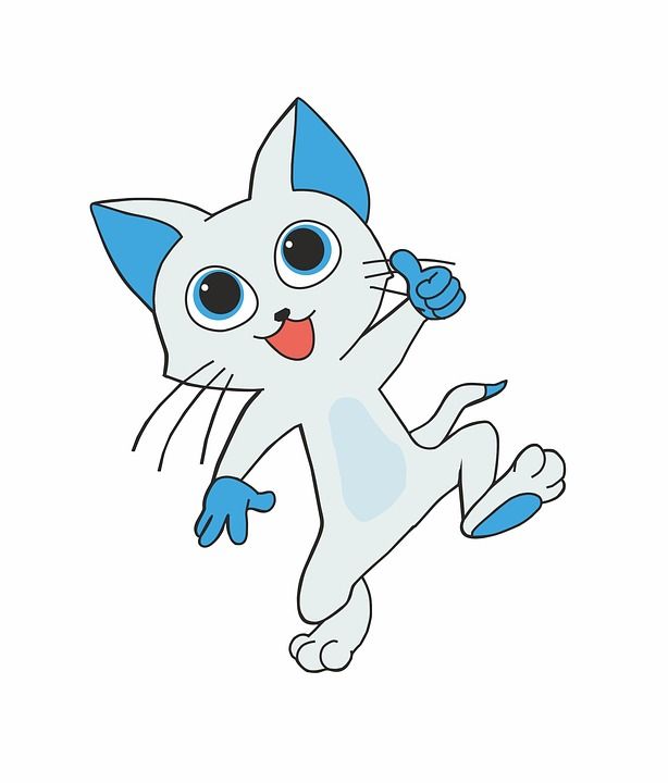猫 积极的 猫咪 蓝色 灰色的 毛皮