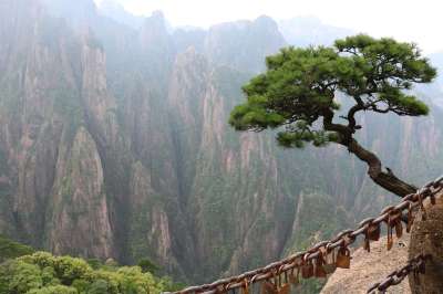 链 树 山 中国 自然 电锯 木头 仙女 摇摆 危险的 庆典