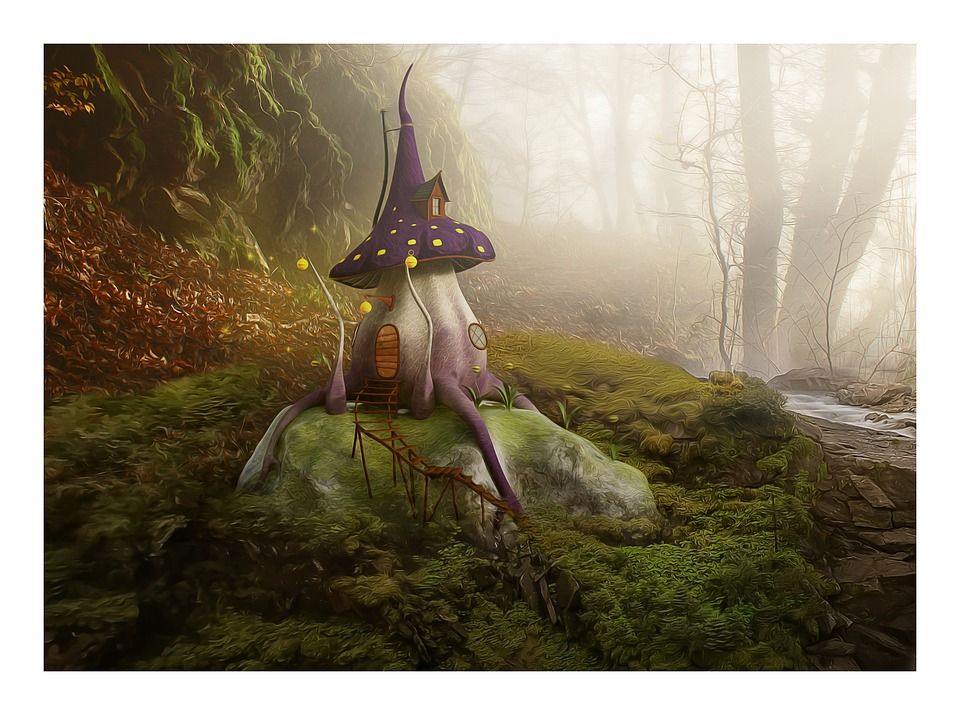 蘑菇, 魔法, 森林, 光, 薄雾, 魔法森林, 自然, 幻想, 景观