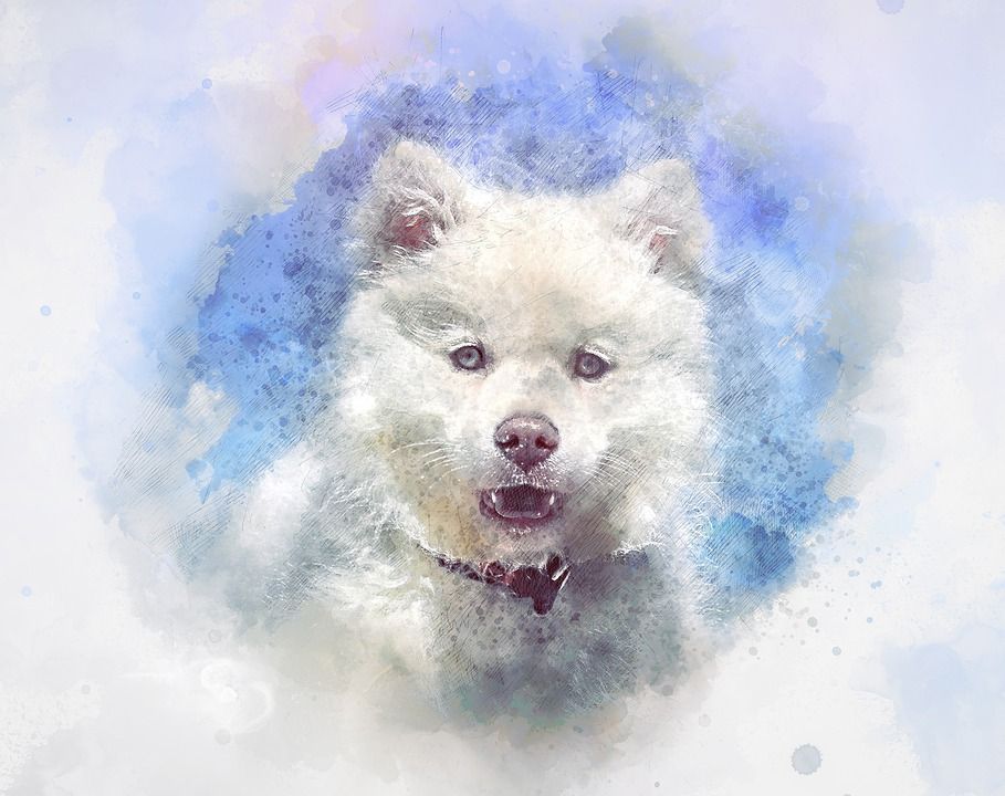 水彩, 绘画, 艺术, 影响, 丰富多彩的, 打印, 艺术的, 纸, 有创造力的