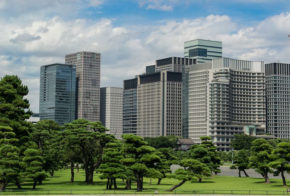 东京, 光享苑, 天际线, 黑松林, 日本, 城市, 建筑学, 现代的, 都会