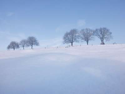 雪 冬天 景观 寒冷的 冬季景观 白色的 光 冻结 雪景