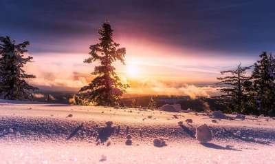 日出 冬天 雪 全景 森林 树木 景观 风景秀丽的 天空 云