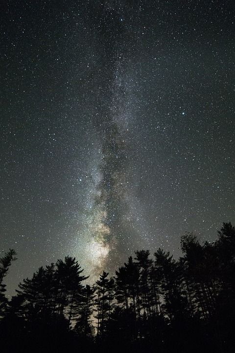 星系 景观 银河 自然 夜晚 星星 夏天 树木
