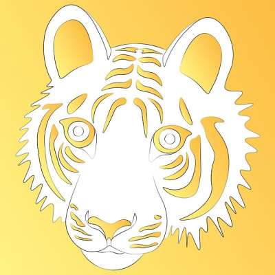 老虎 猫科动物 条纹 轮廓 图案 线 动物 荒野 野生动物